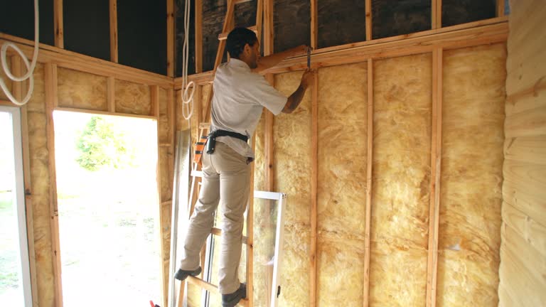 Best Eco-Friendly or Green Insulation Solutions  in Butte, AK